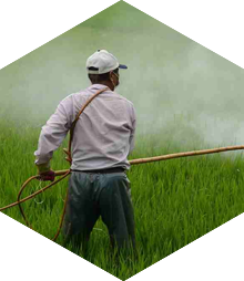 Pesticides Industries